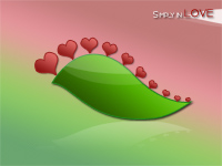 wall